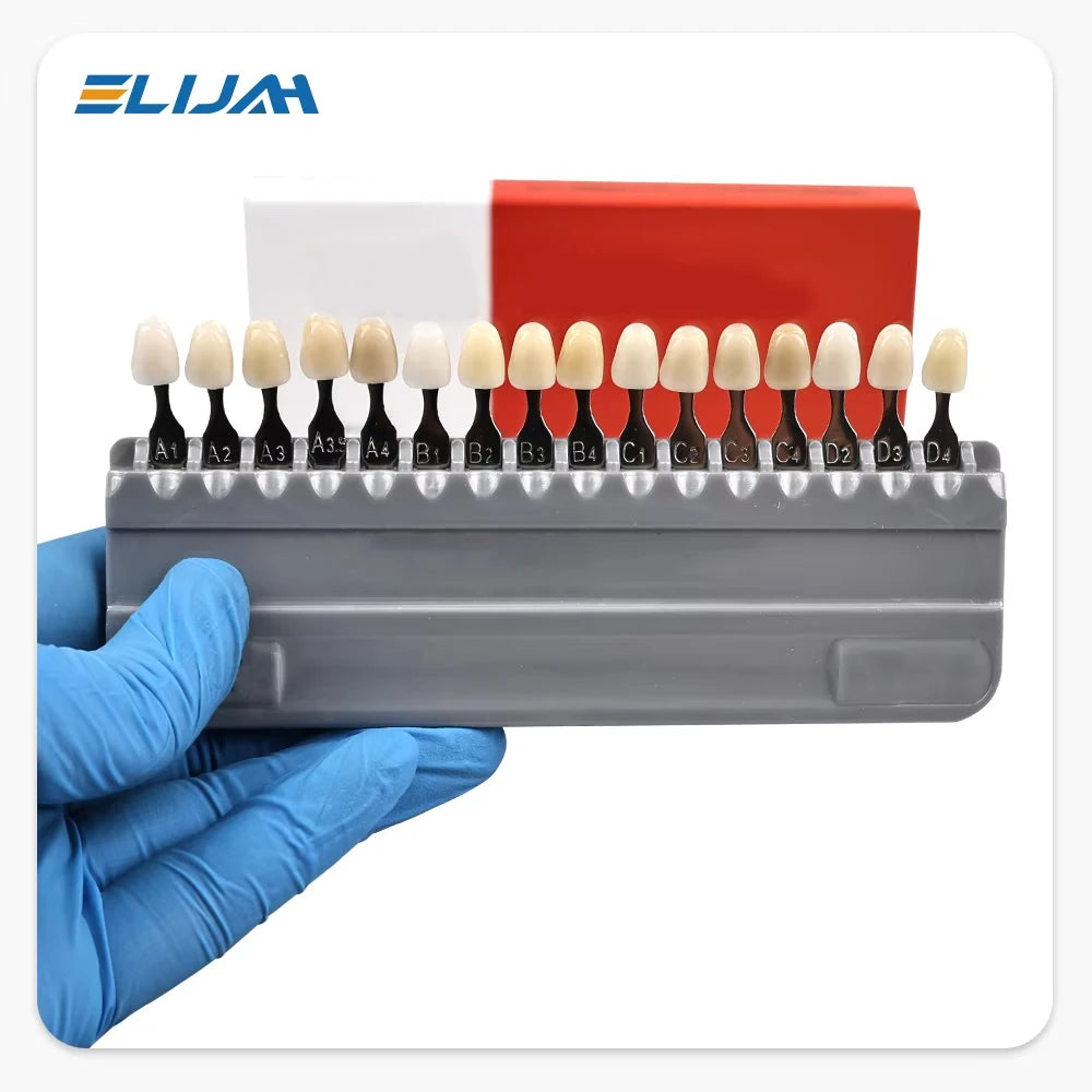 S1879ff232822492d938b6cd563f5d852B